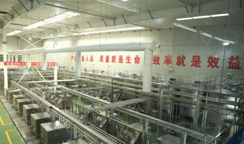 中國飲料界的超級單品 年銷40億罐，鑄就百億餐飲服務帝國